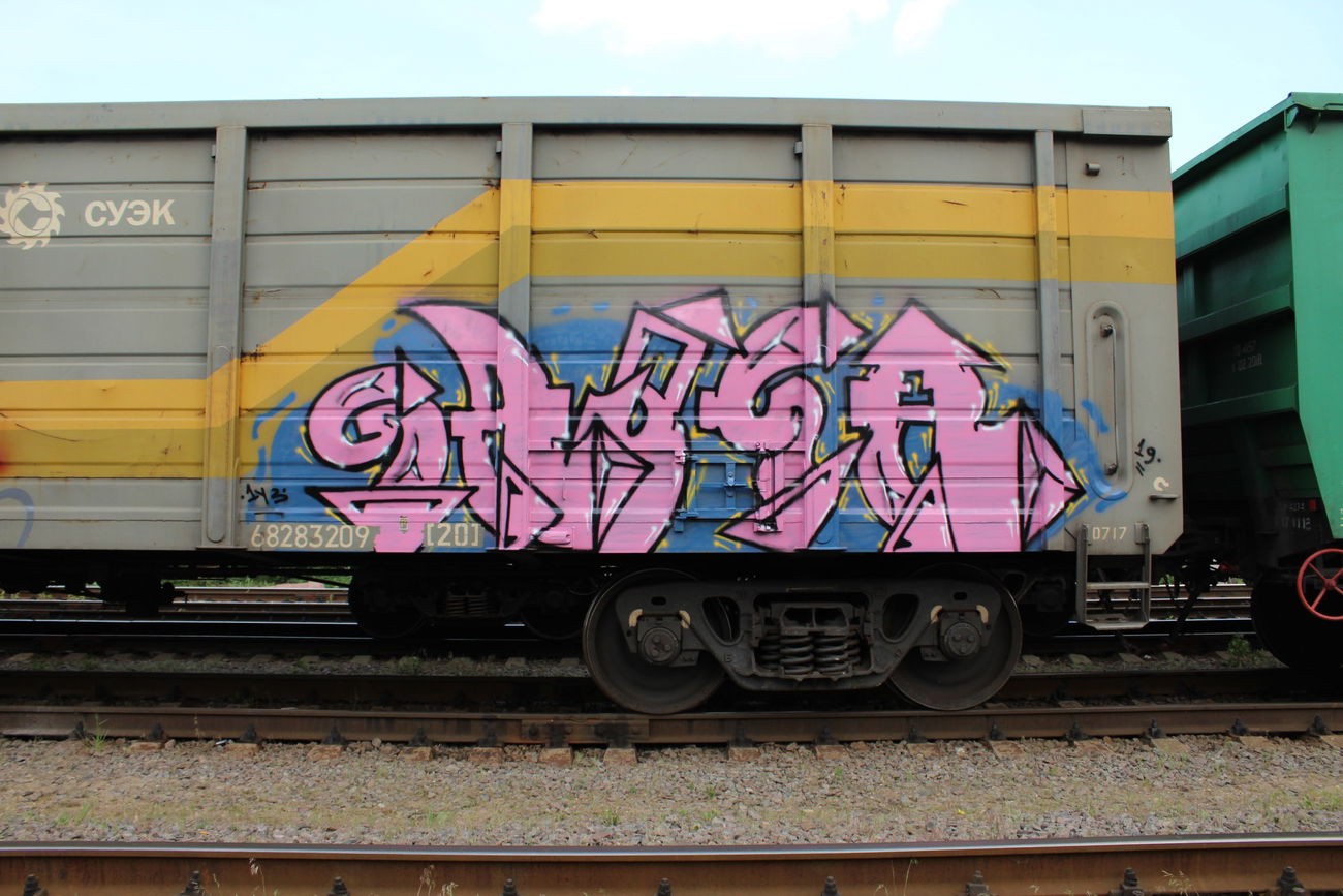Graffiti Train - Photo by 5483r143 - fr8 (2019)