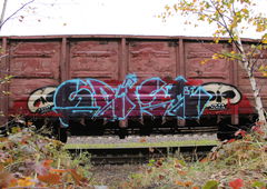 Graffiti Train - Photo by 5483r143 - fr8 (2019)