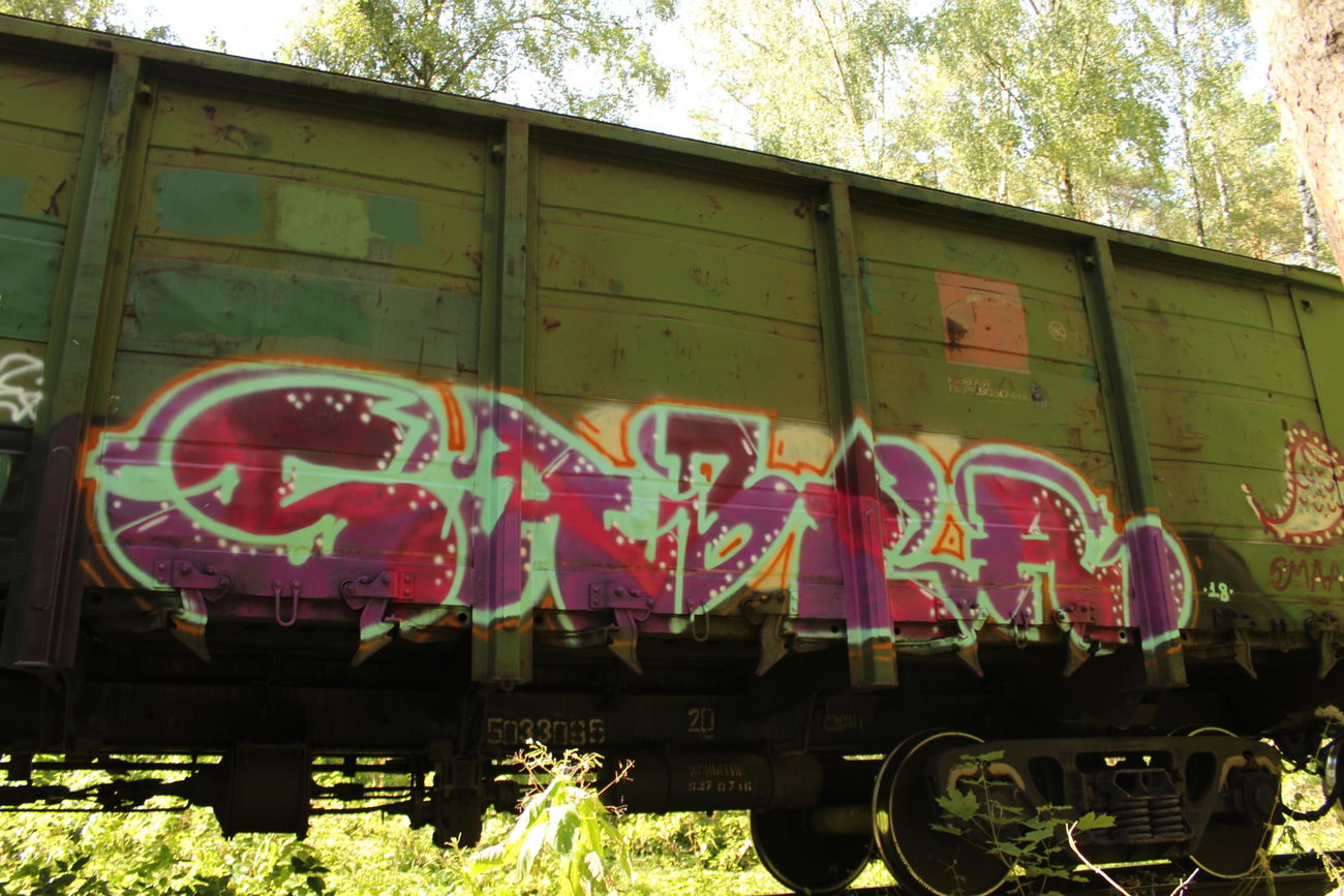 Graffiti Train - Photo by 5483r143 - freight (2018)