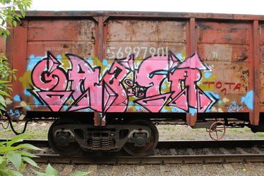 Graffiti Train - Photo by 5483r143 - fr8 (2019)