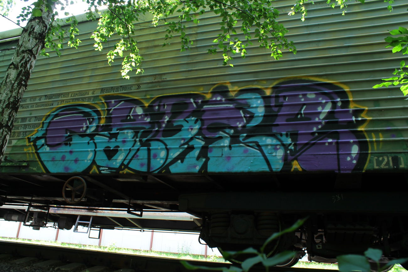 Graffiti Train - Photo by 5483r143 - freight (2017)