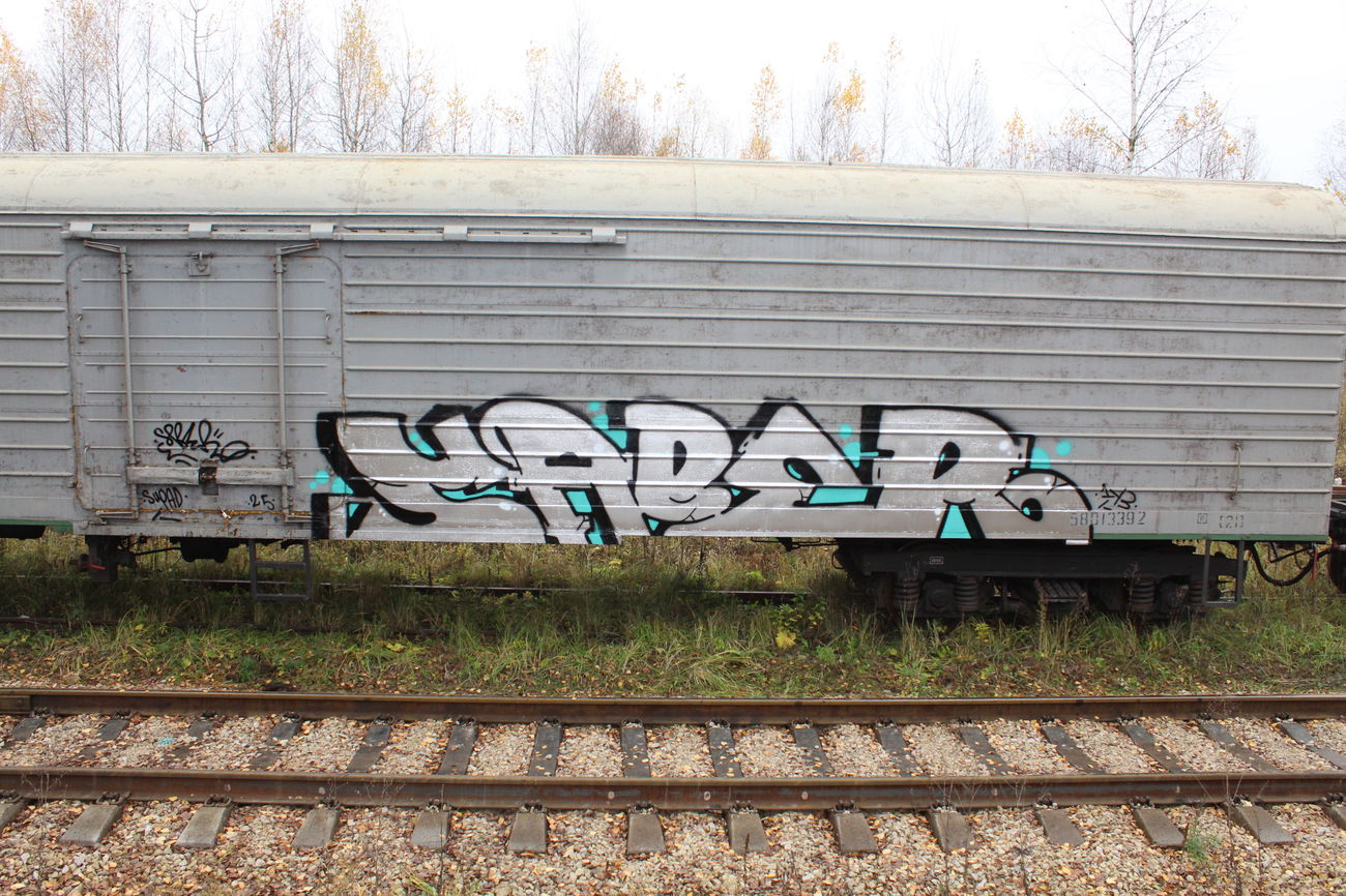 Graffiti Train - Photo by 5483r143 - fr8, fr8graffiti (2025)