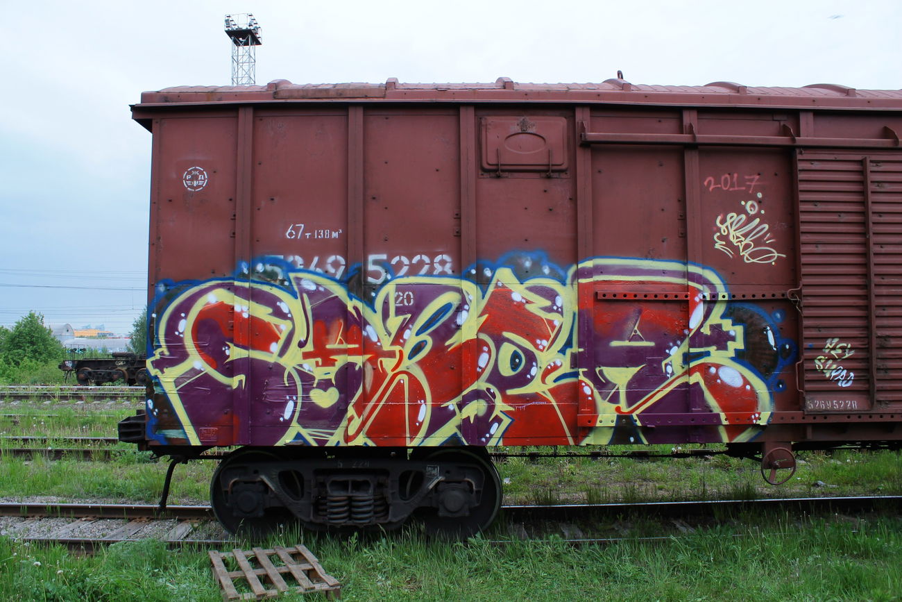 Graffiti Train - Photo by 5483r143 - freight (2017)