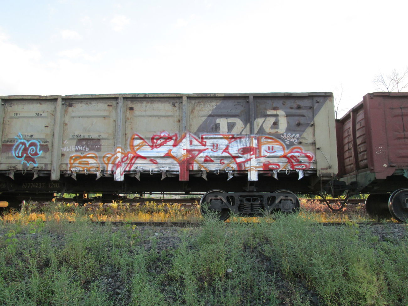 Graffiti Train - Photo by 5483r143 - freight (2015)