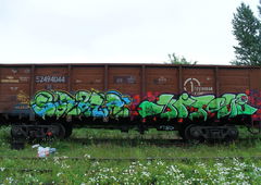 Graffiti Train - Photo by 5483r143 - fr8 (2017)