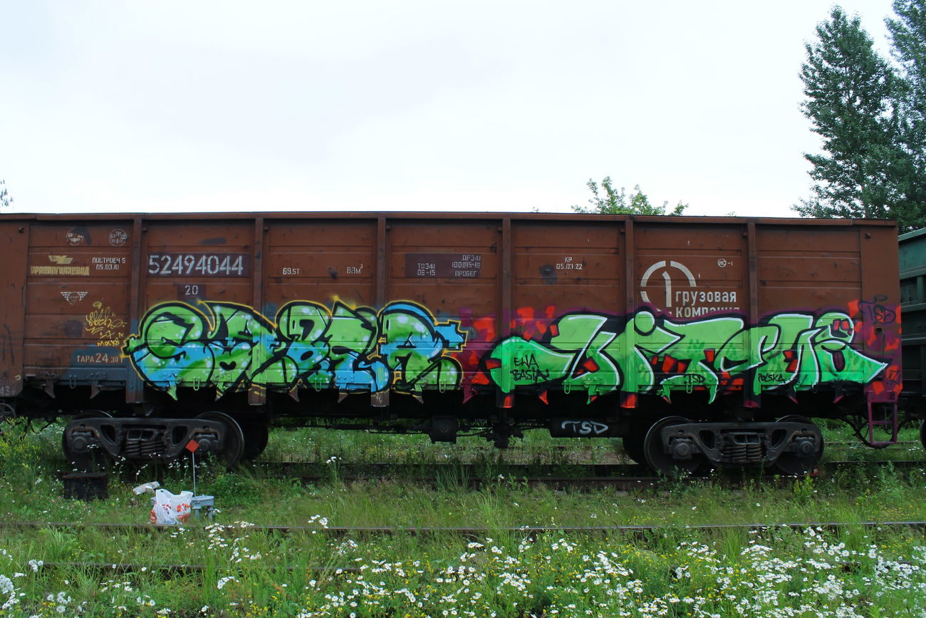 Graffiti Train - Photo by 5483r143 - fr8 (2017)
