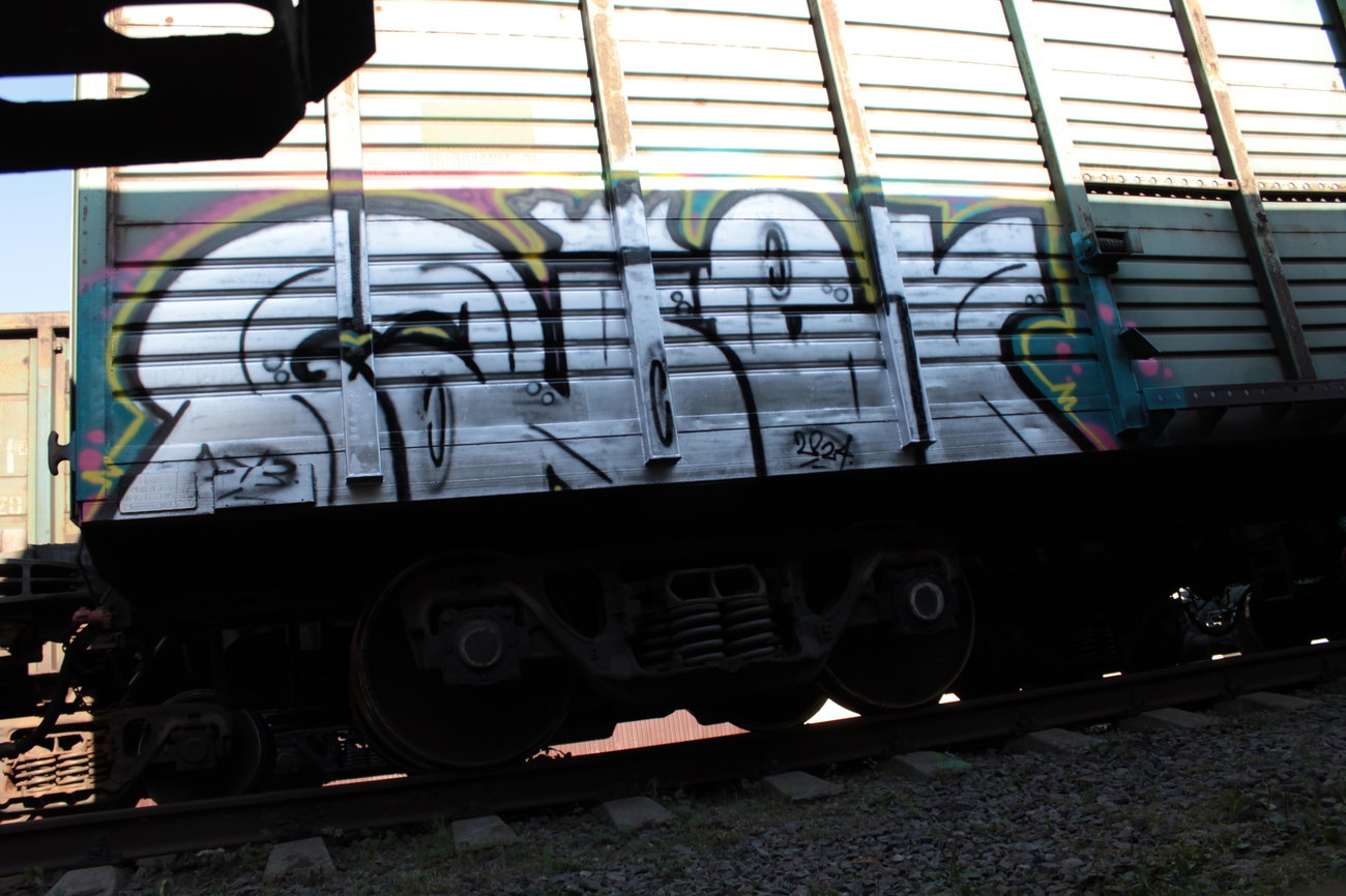 Graffiti Train - Photo by 5483r143 - fr8, fr8train, freighttraingraffiti (2024)
