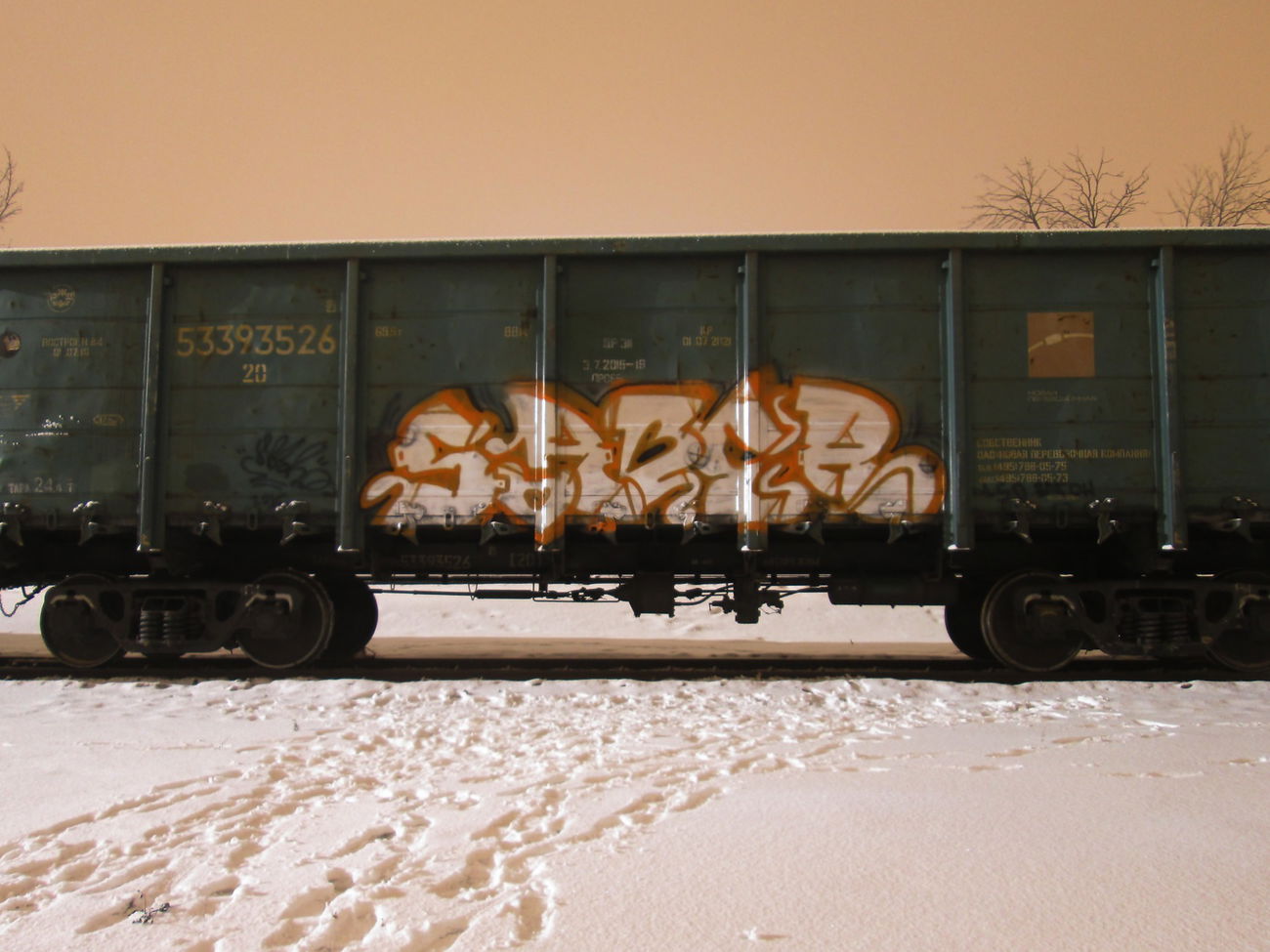 Graffiti Train - Photo by 5483r143 - fr8 (2016)