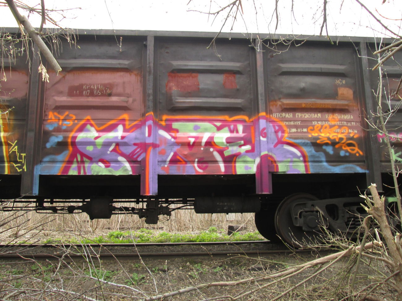 Graffiti Train - Photo by 5483r143 - freight (2014)