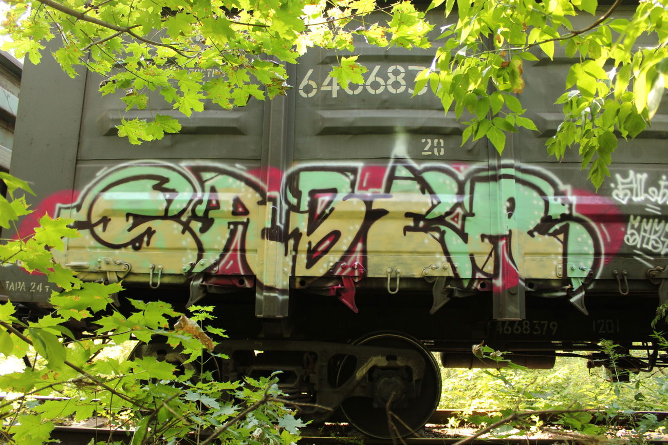 Graffiti Train - Photo by 5483r143 - freight (2018)