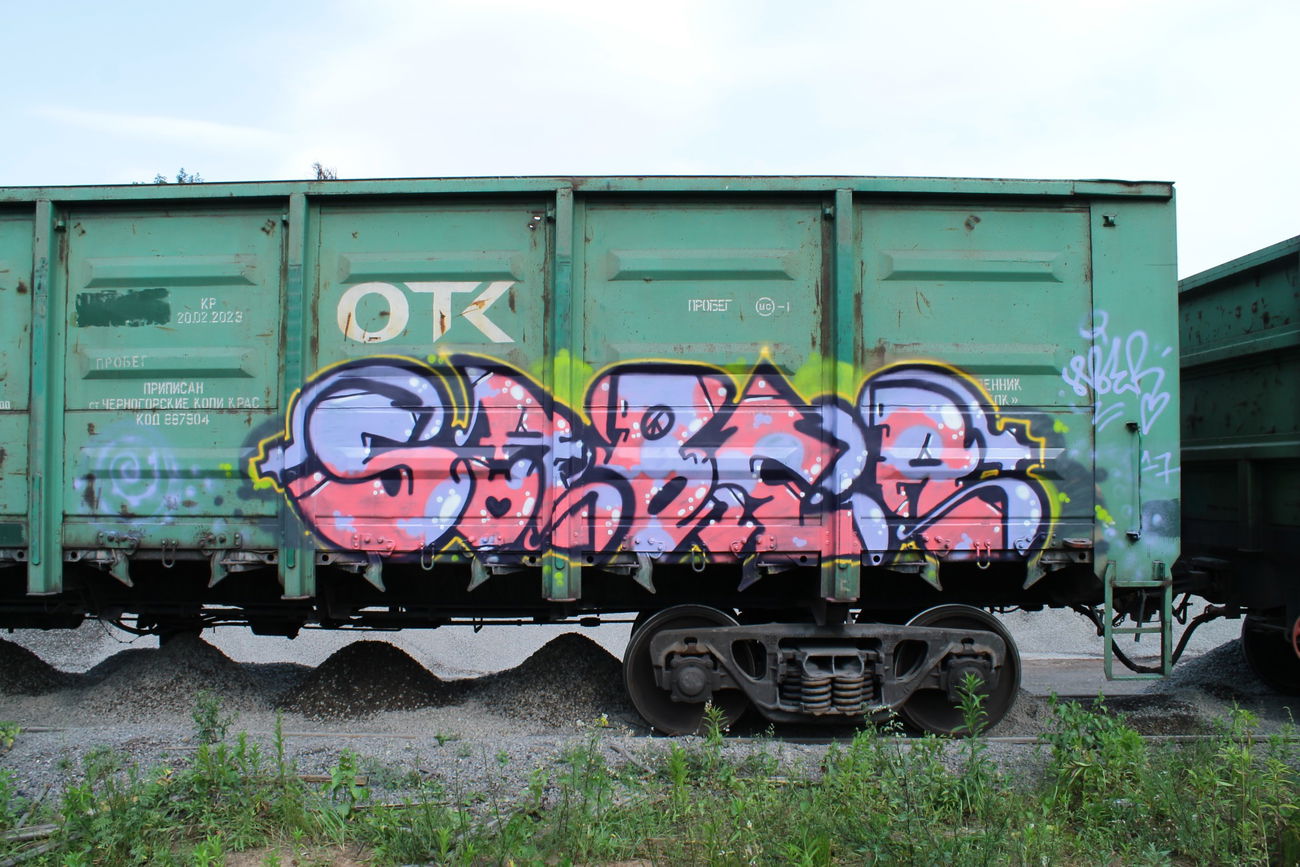 Graffiti Train - Photo by 5483r143 - freight (2017)