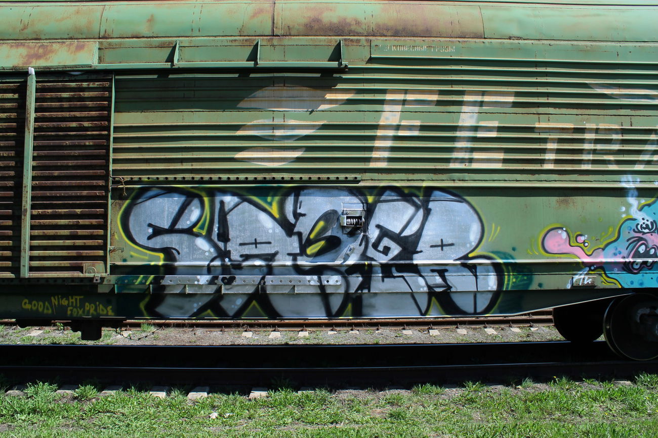 Graffiti Train - Photo by 5483r143 - freight (2017)