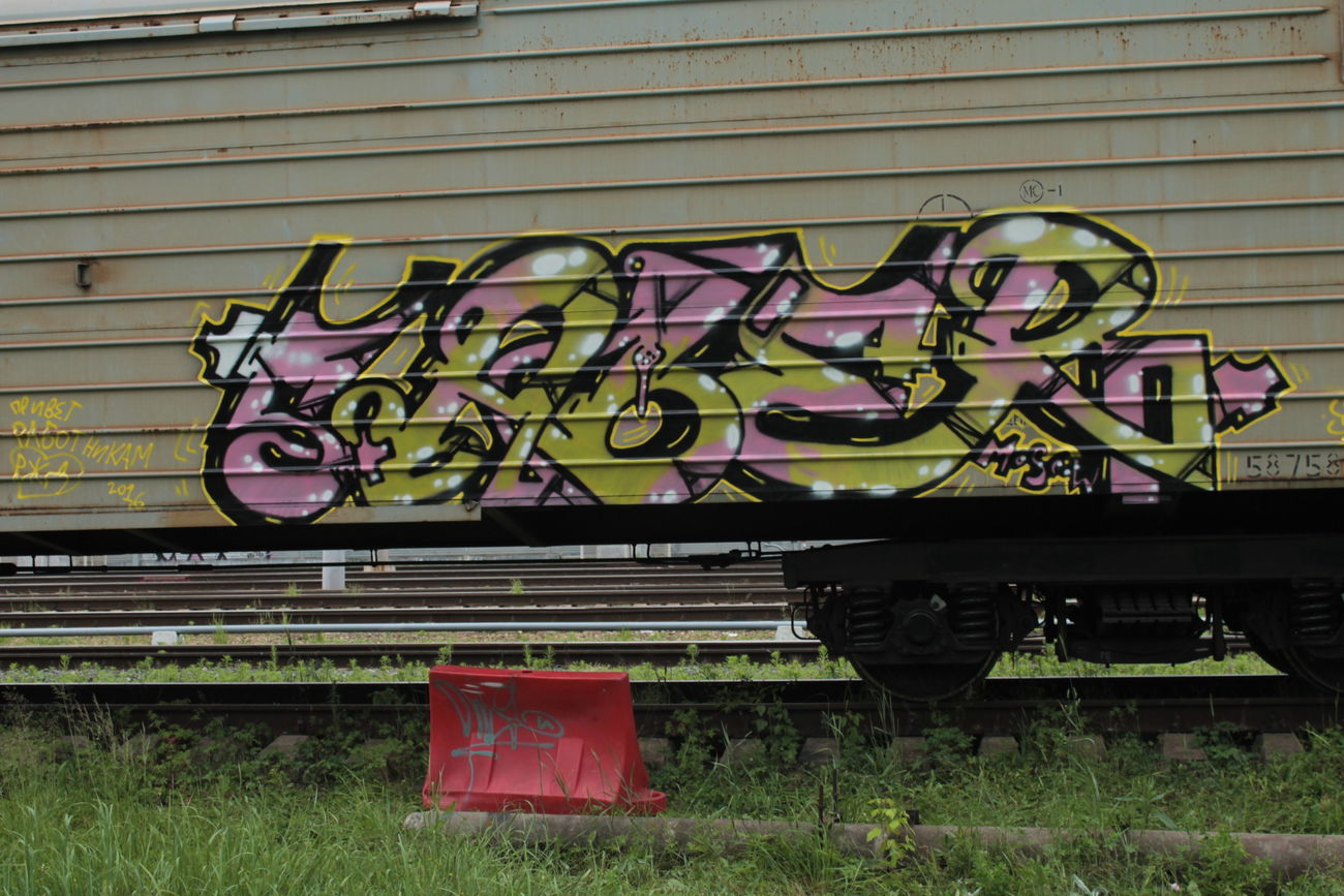 Graffiti Train - Photo by 5483r143 - freight (2016)