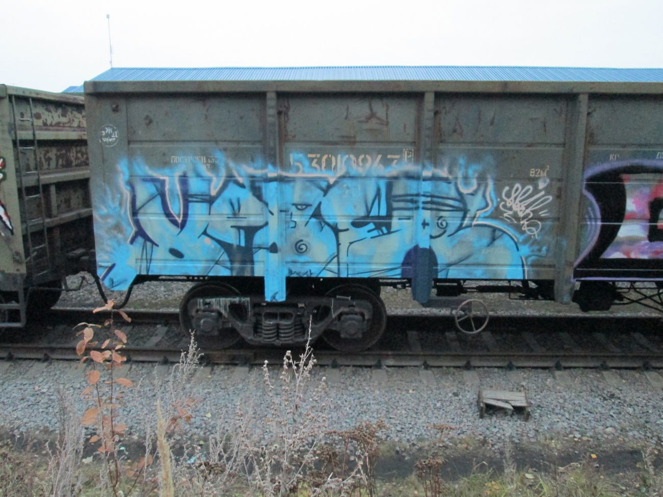 Graffiti Train - Photo by 5483r143 - freight (2015)
