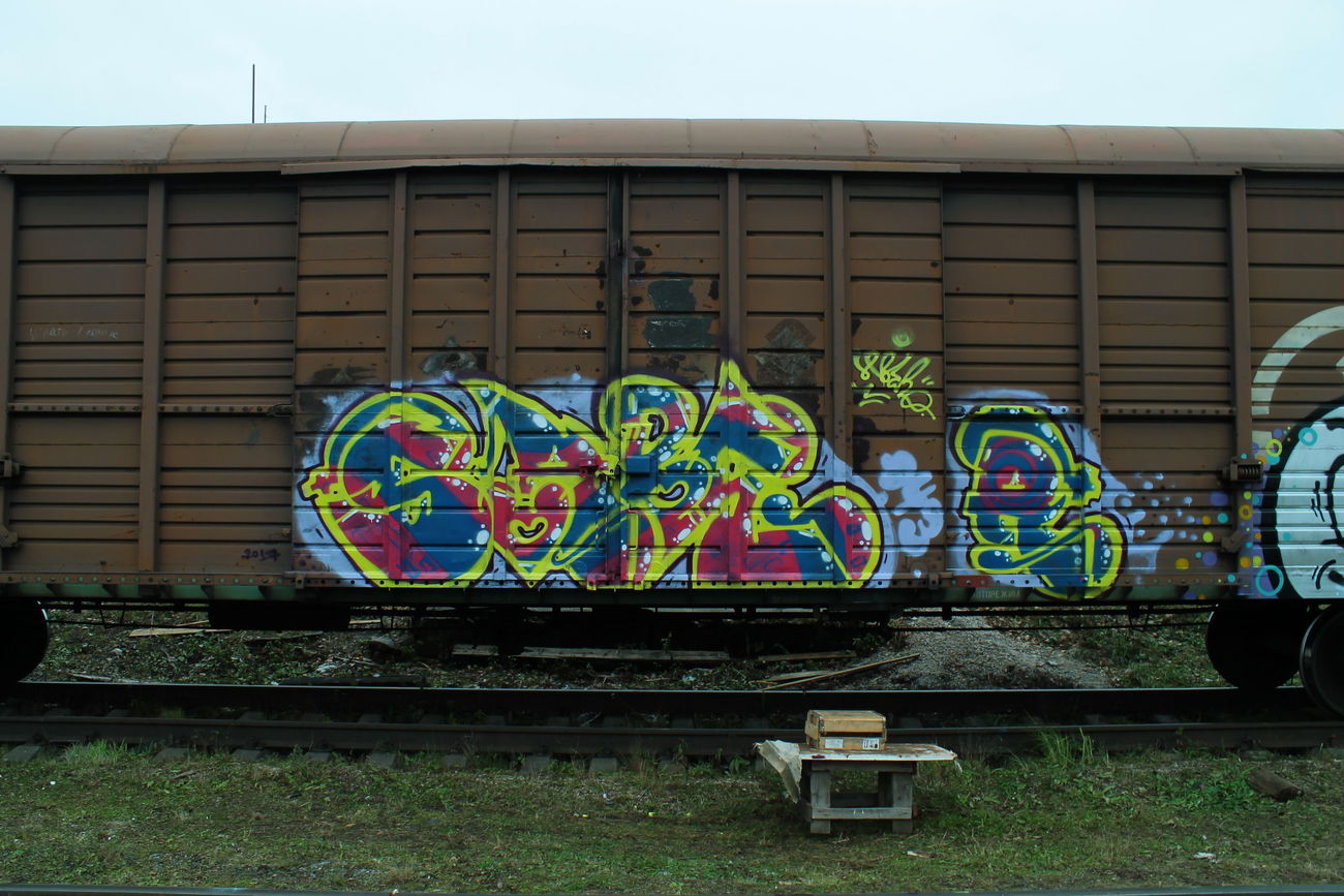 Graffiti Train - Photo by 5483r143 - freight (2017)