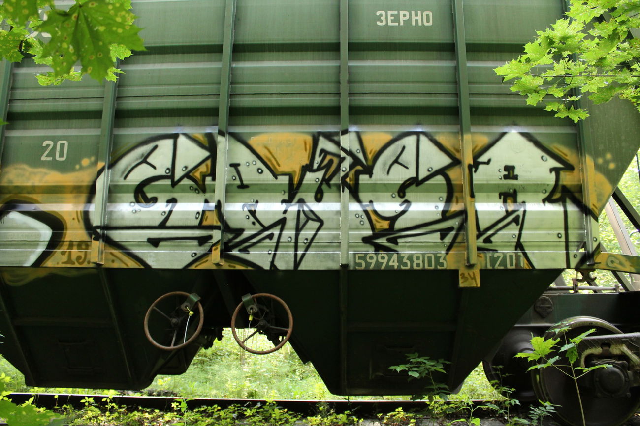 Graffiti Train - Photo by 5483r143 (2019)