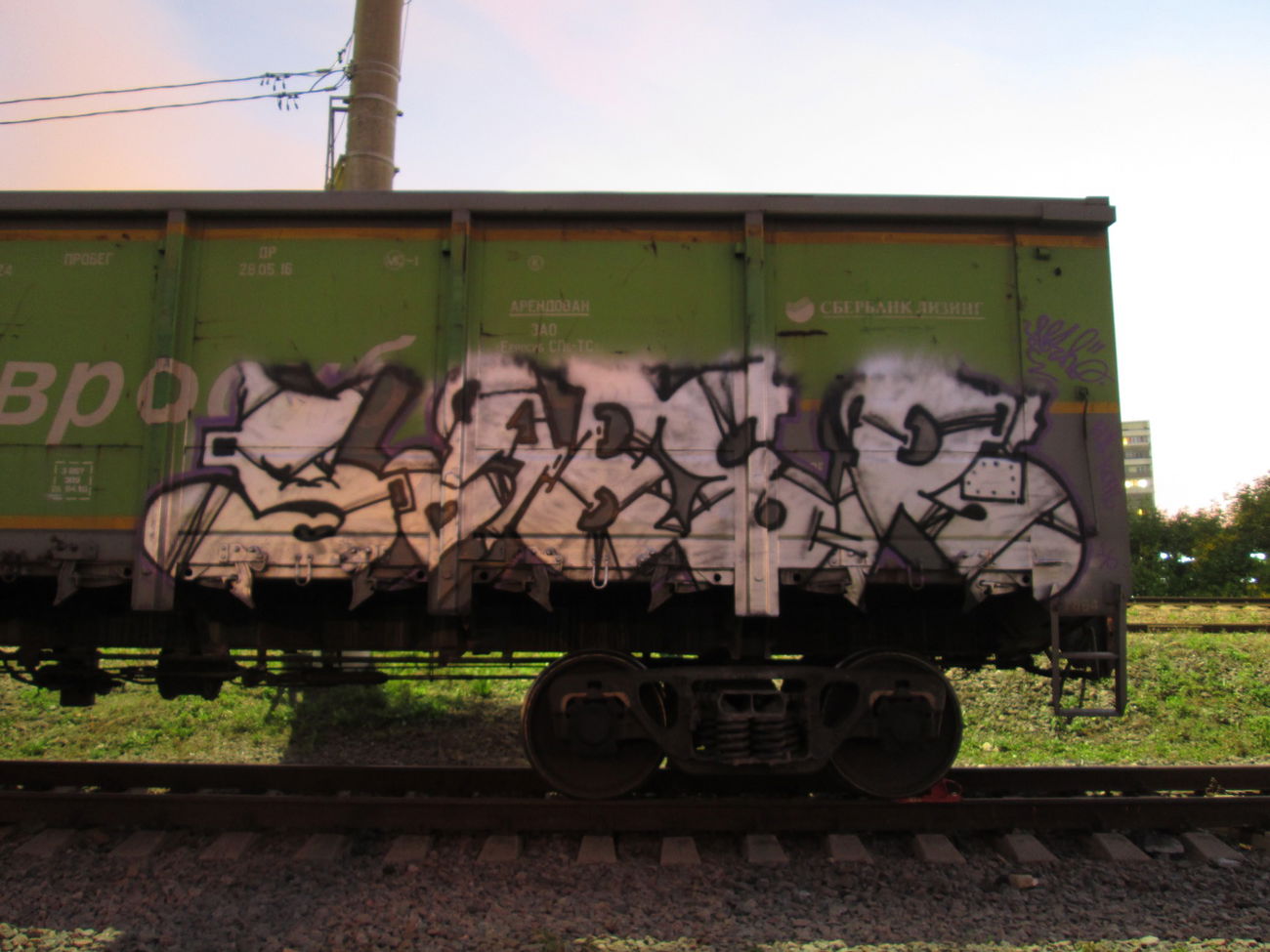 Graffiti Train - Photo by 5483r143 - freight (2016)