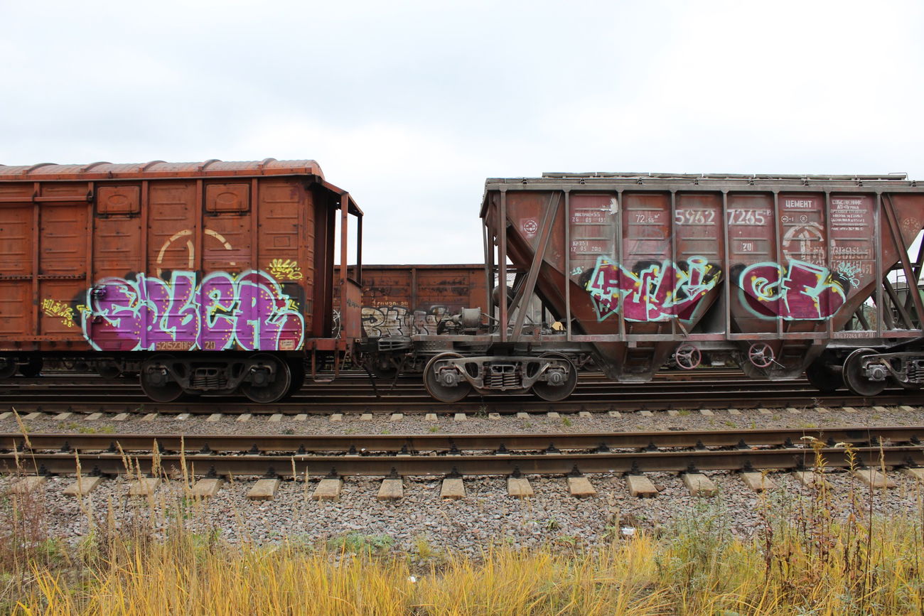 Graffiti Train - Photo by 5483r143 - fr8 (2018)