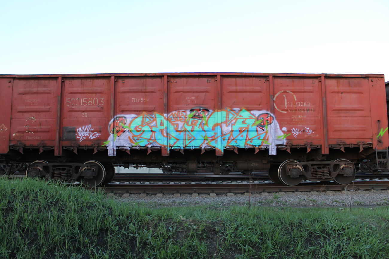 Graffiti Train - Photo by 5483r143 - fr8 (2019)