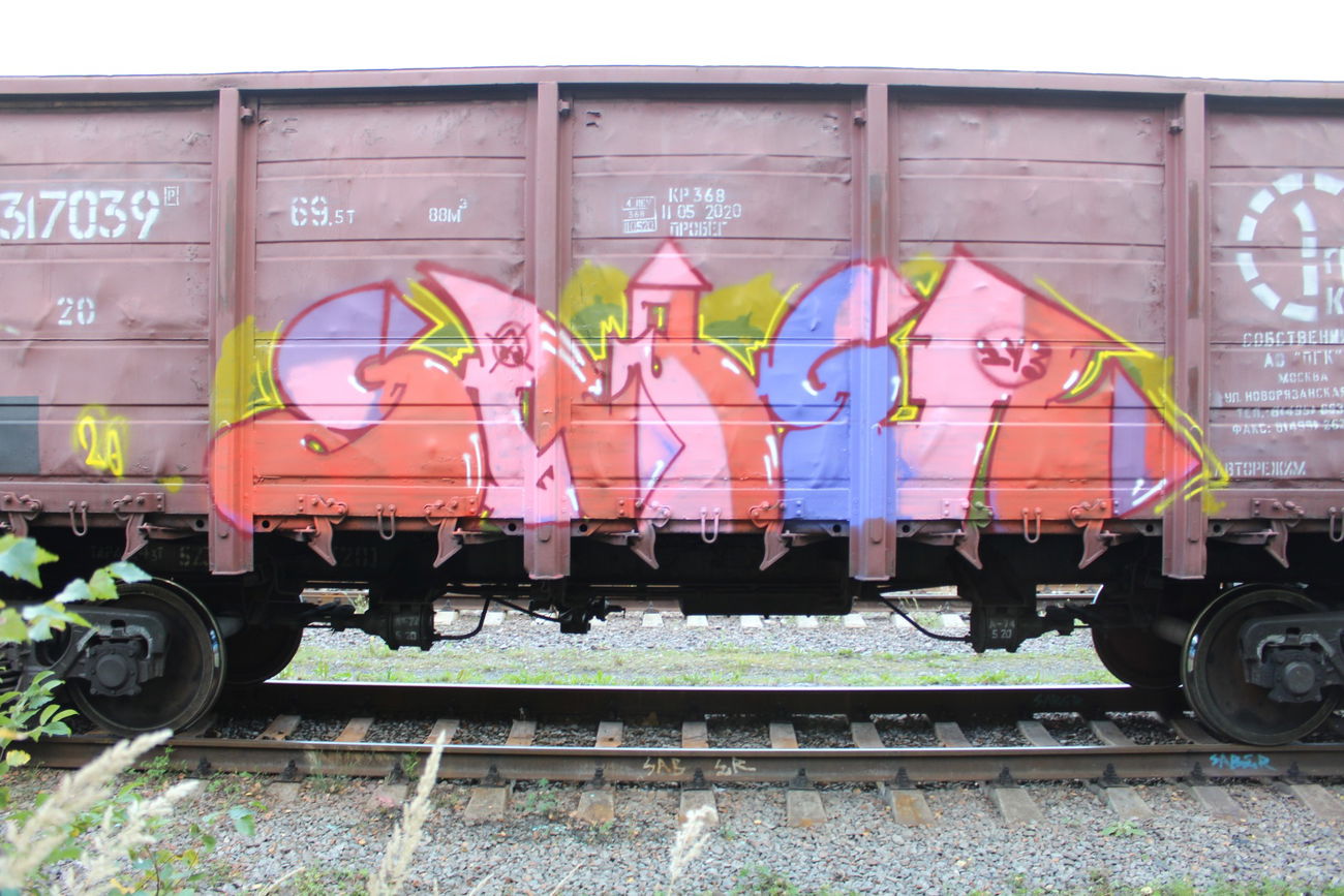 Graffiti Train - Photo by 5483r143 - freight (2020)