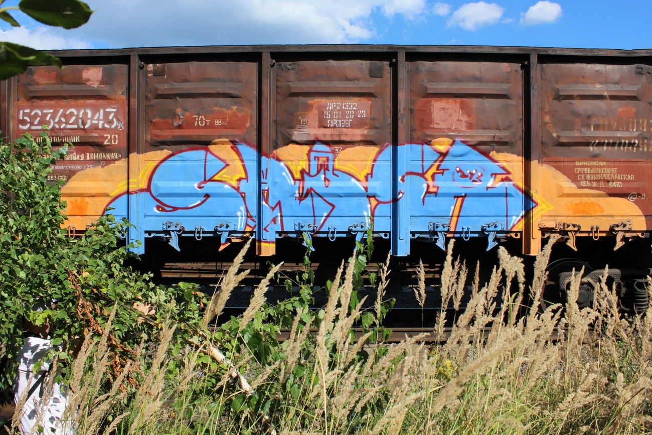 Graffiti Train - Photo by 5483r143 - freight (2020)