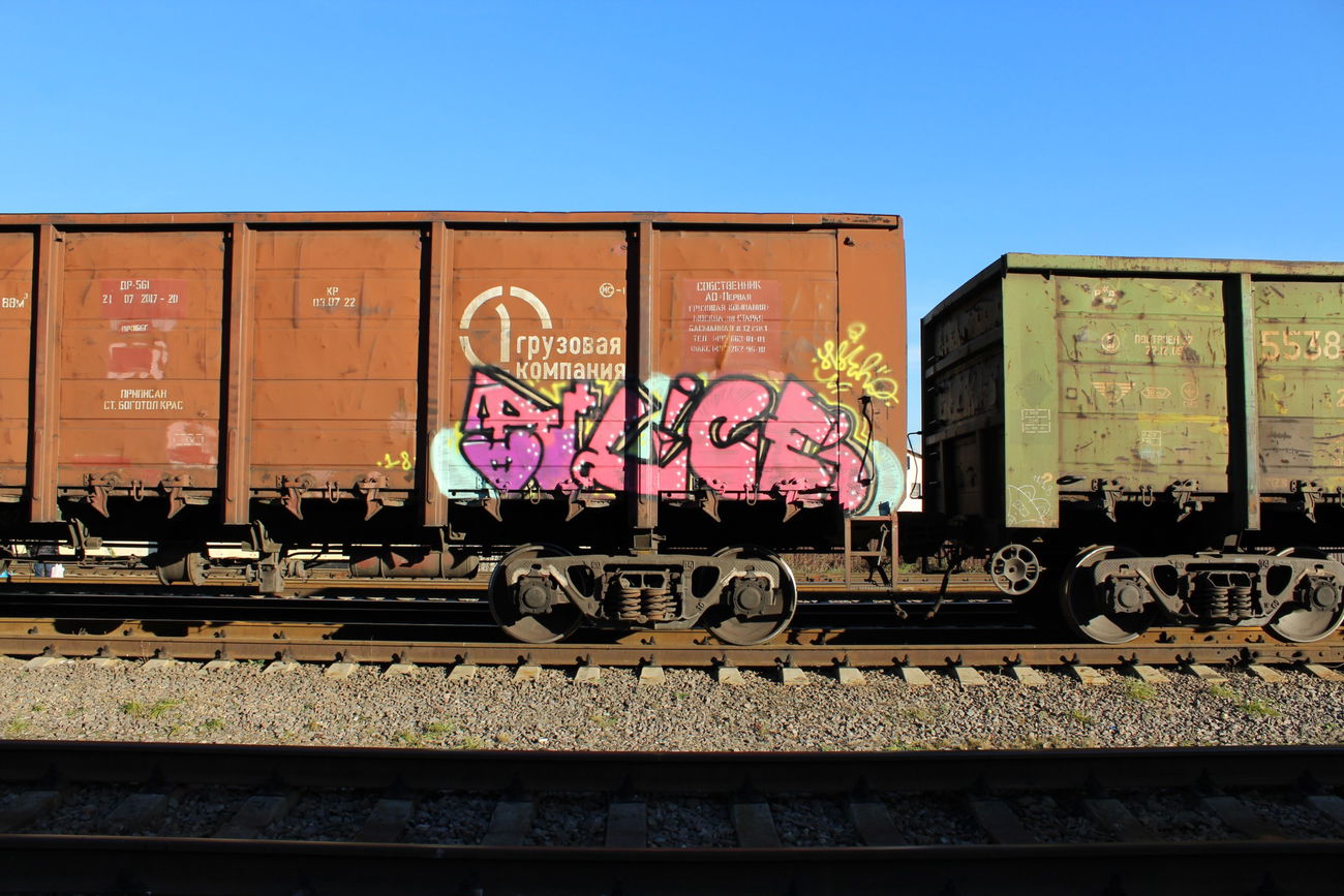 Graffiti Train - Photo by 5483r143 - freight (2018)