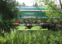 Graffiti Train - Photo by 5483r143 - fr8, fr8graffiti (2018)