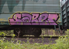 Photo #251316 by iobe1