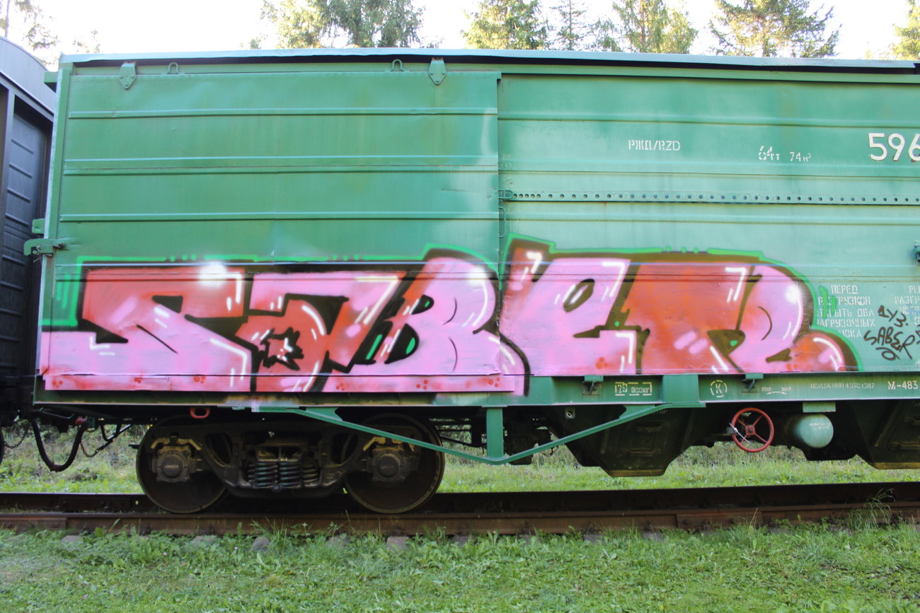 Graffiti Train - Photo by 5483r143 - fr8, freighttraingraffiti (2026)