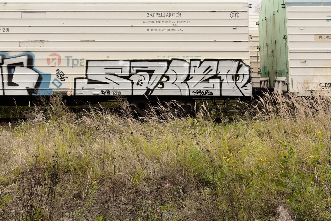 Graffiti Train in Ozyory - Photo by 5483r143 - fr8, freighttraingraffiti (2026)