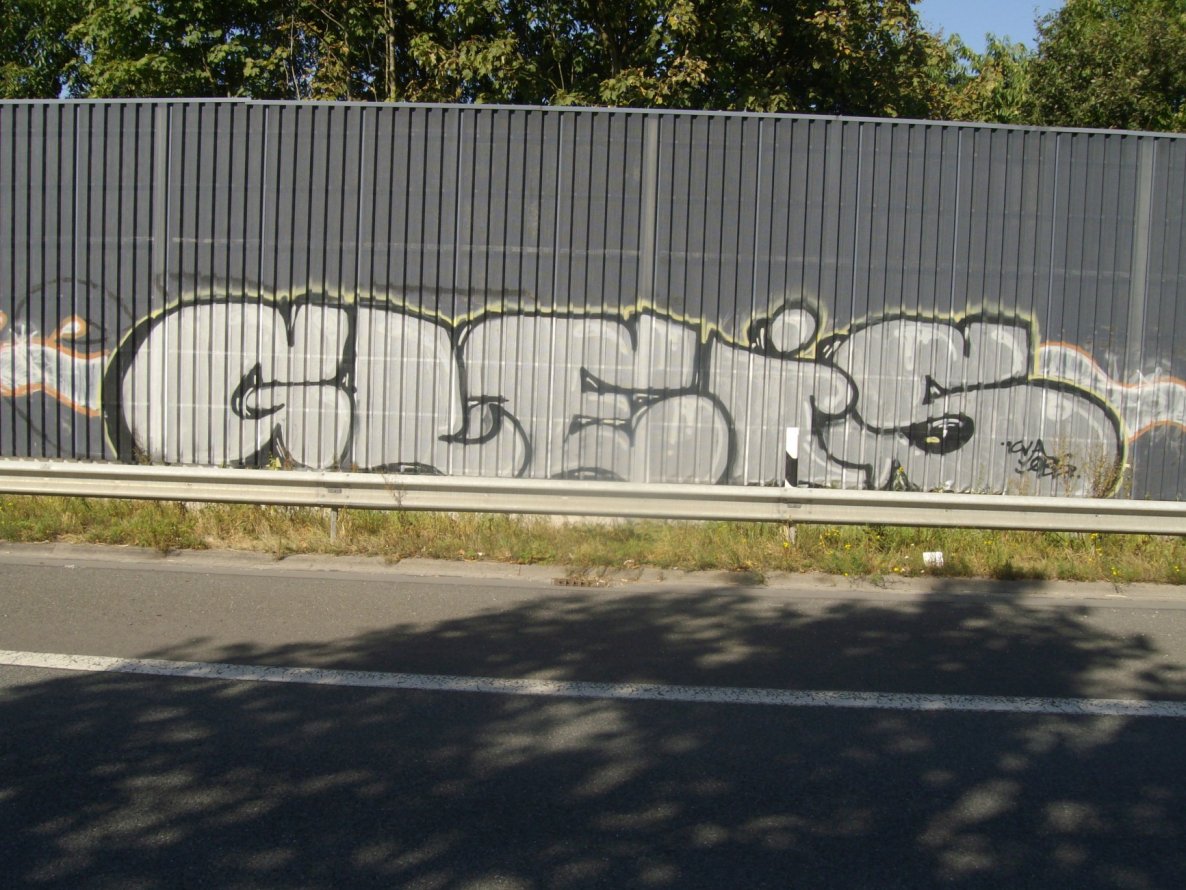 Graffiti Bombing - Photo by 607Salkin