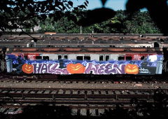 Graffiti Wall - Photo by 6lineyard