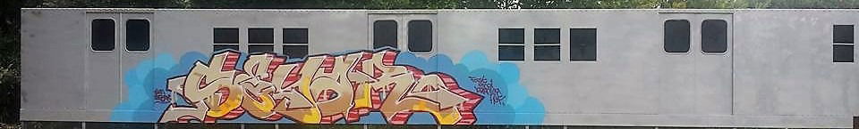 Graffiti Train in Saeffelen selfkantstrasse  - Photo by 6lineyard (2016)