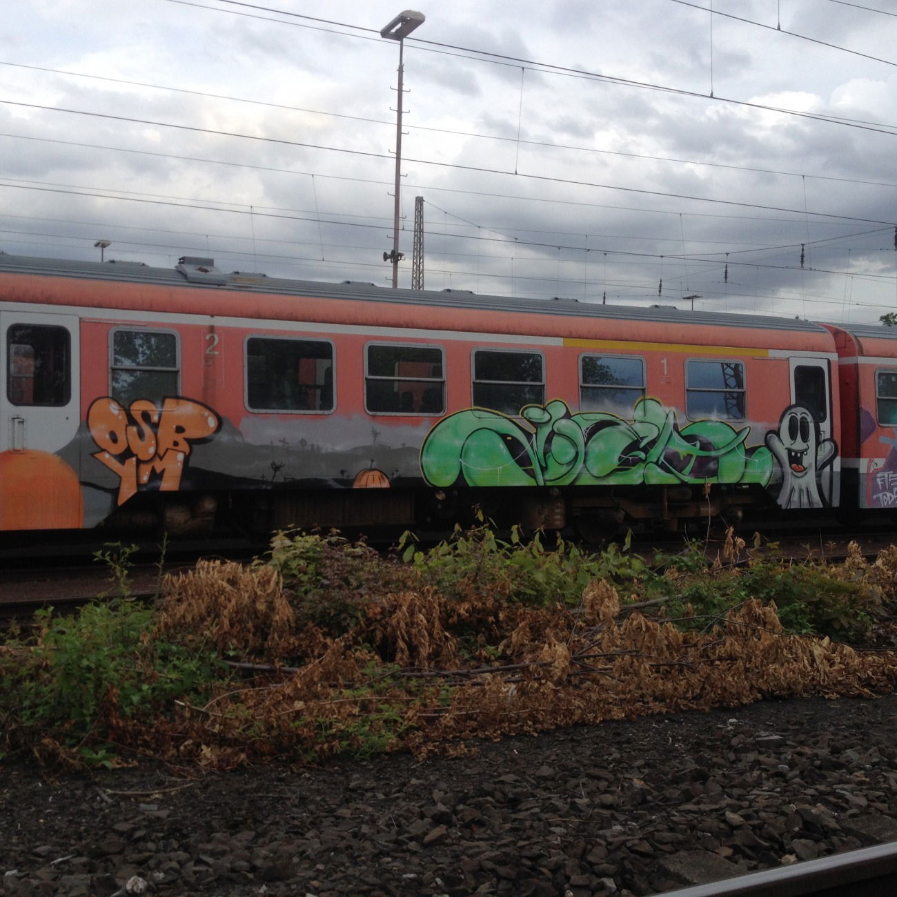 Graffiti Train in Deutschland - Photo by 724417