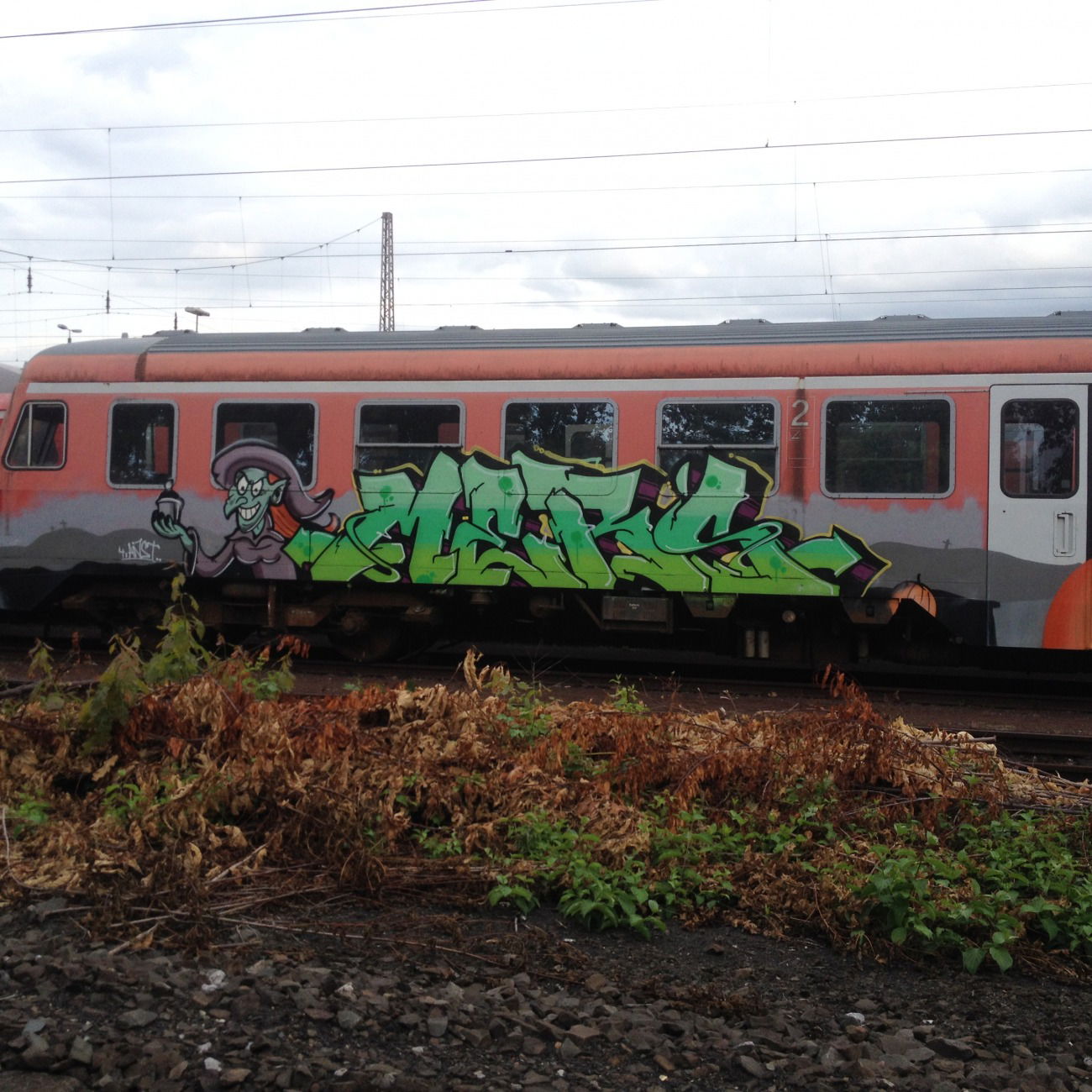 Graffiti Train in Deutschland - Photo by 724417