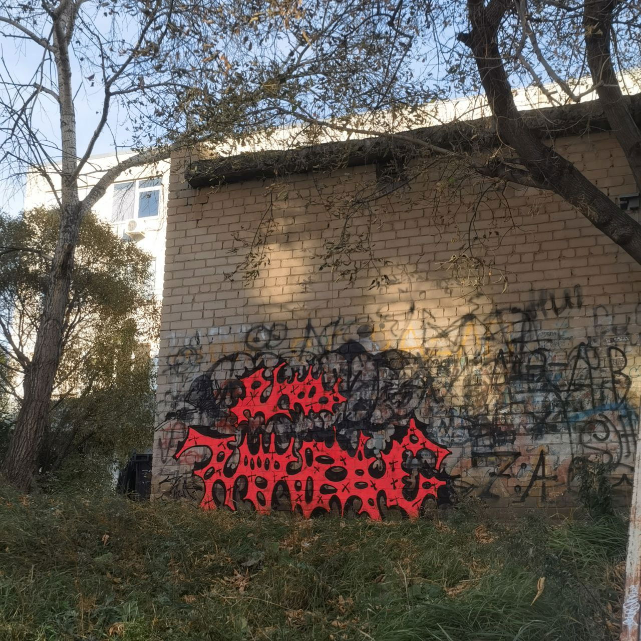 Graffiti Wall in Миасс - Photo by 7akvas (2025)