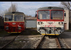 Photo #74316 by sunsnv