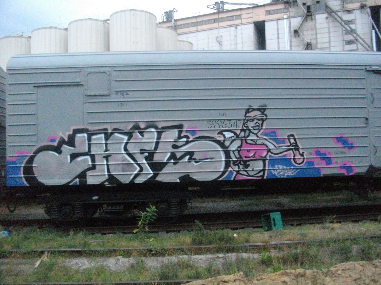 Graffiti Train in Kyiv - Photo by 96TOY (2013)