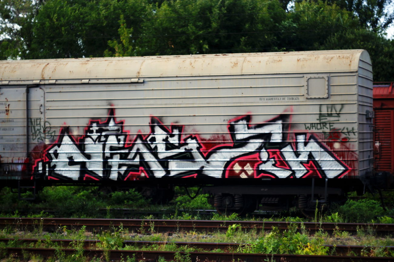 Graffiti Train in Fastov - Photo by 96TOY (2012)