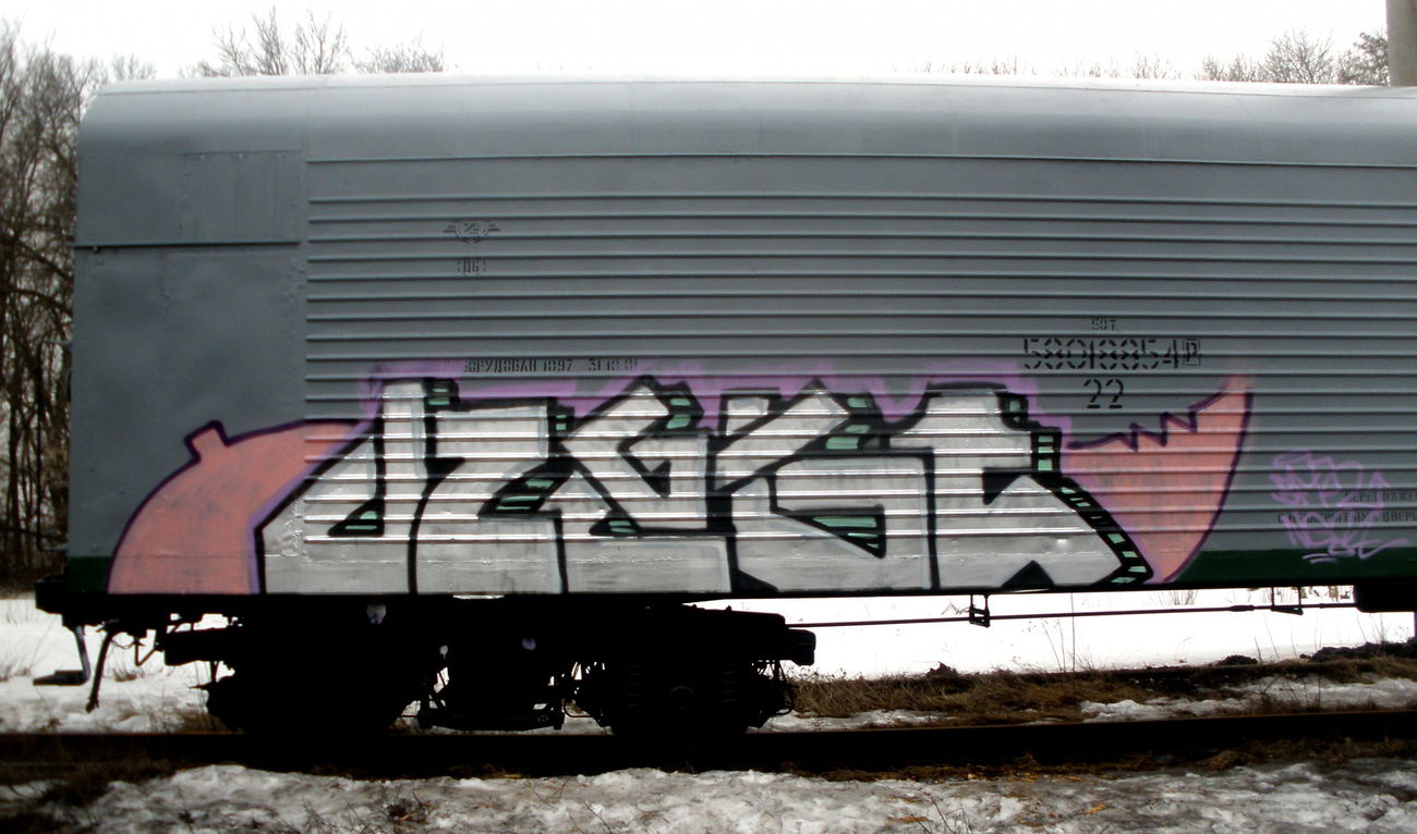 Graffiti Train in Fastov - Photo by 96TOY (2010)