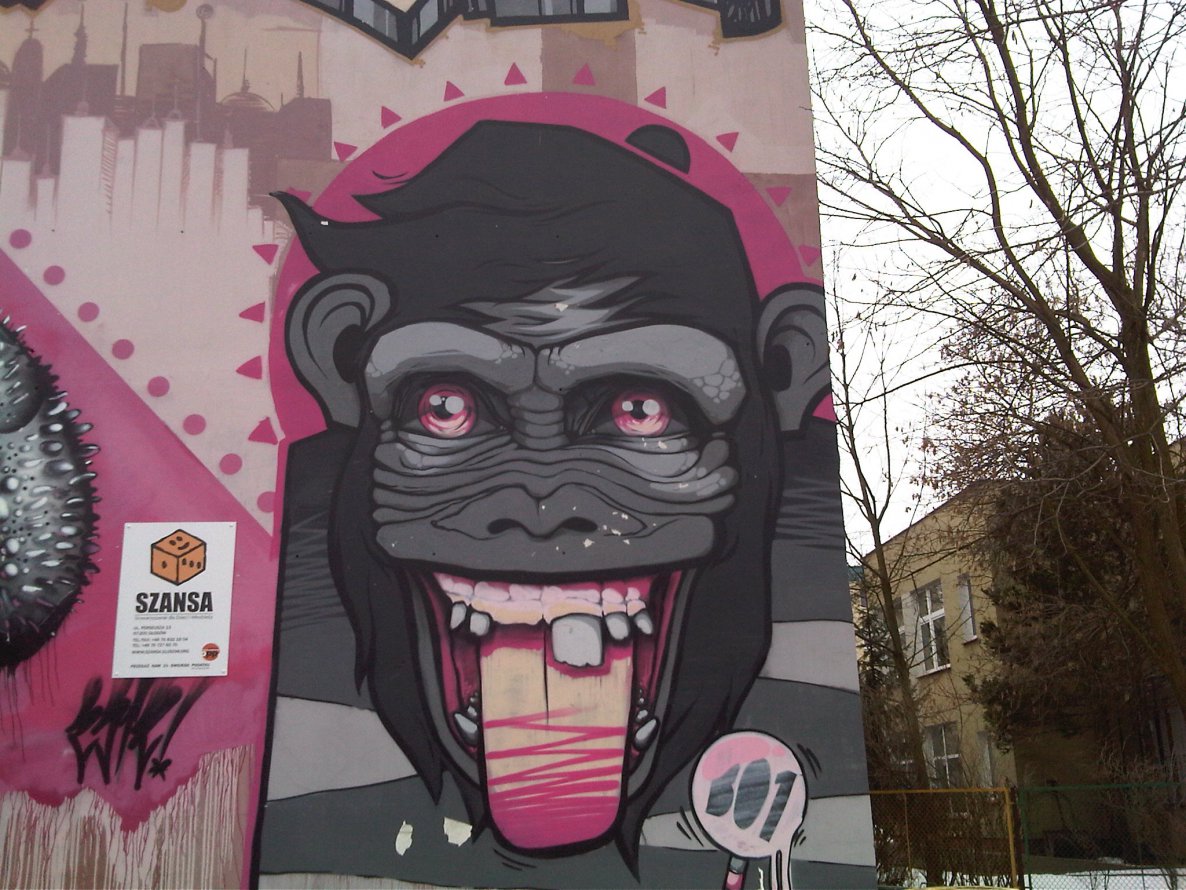 Graffiti Wall in Glogow - Photo by ABCmaniac
