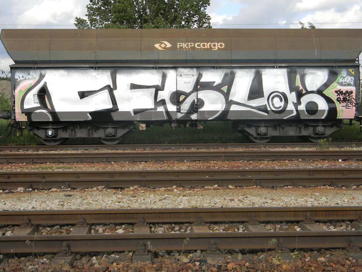 Graffiti Train - Photo by ABCmaniac