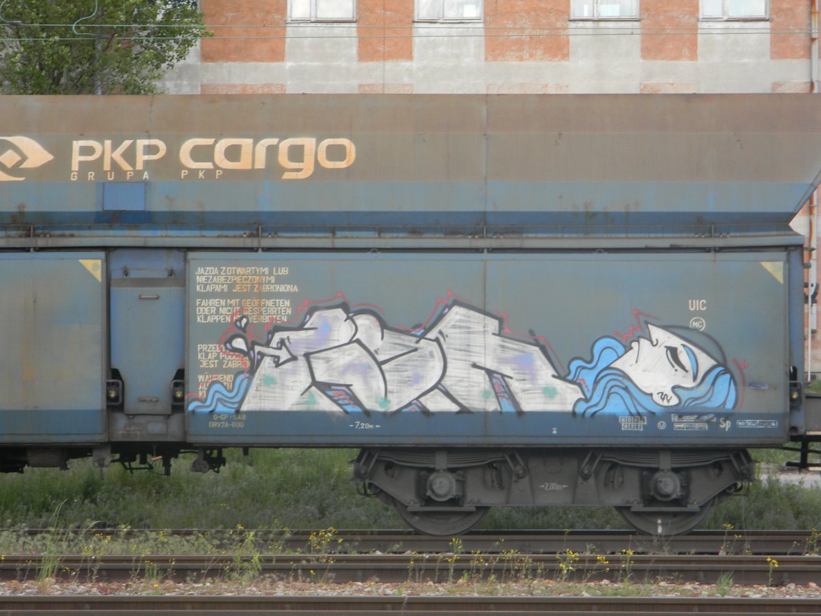 Graffiti Train - Photo by ABCmaniac