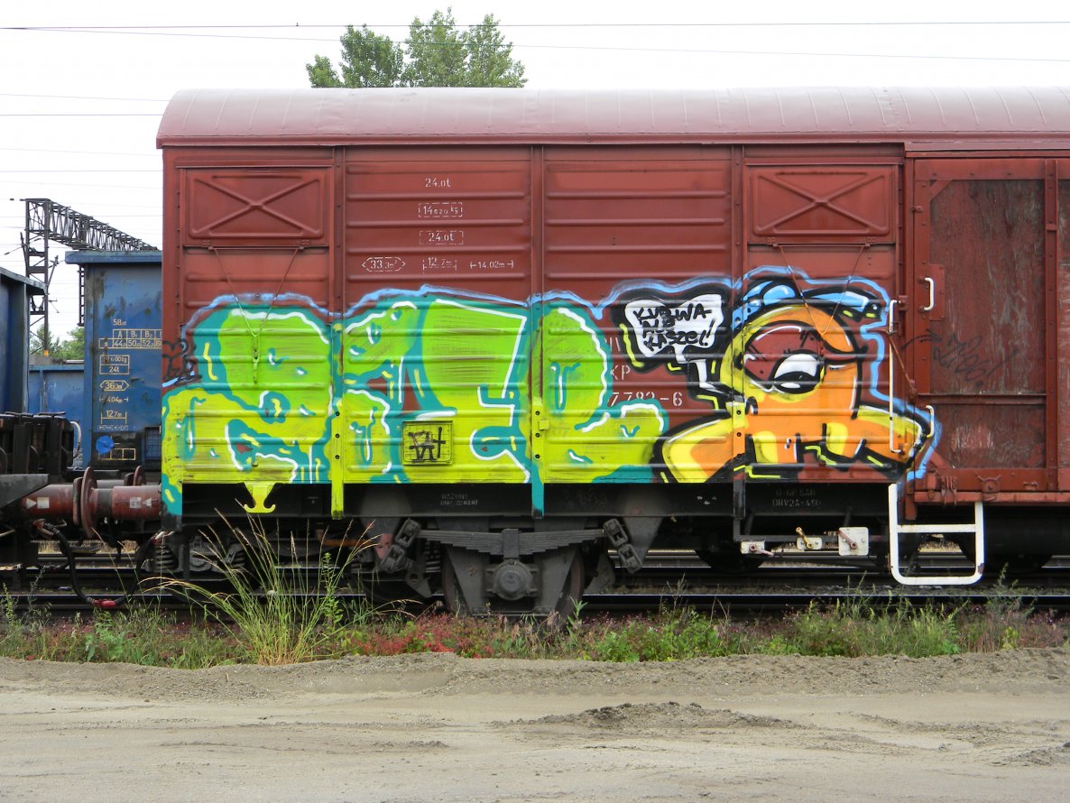 Graffiti Train - Photo by ABCmaniac - zieb, fr8