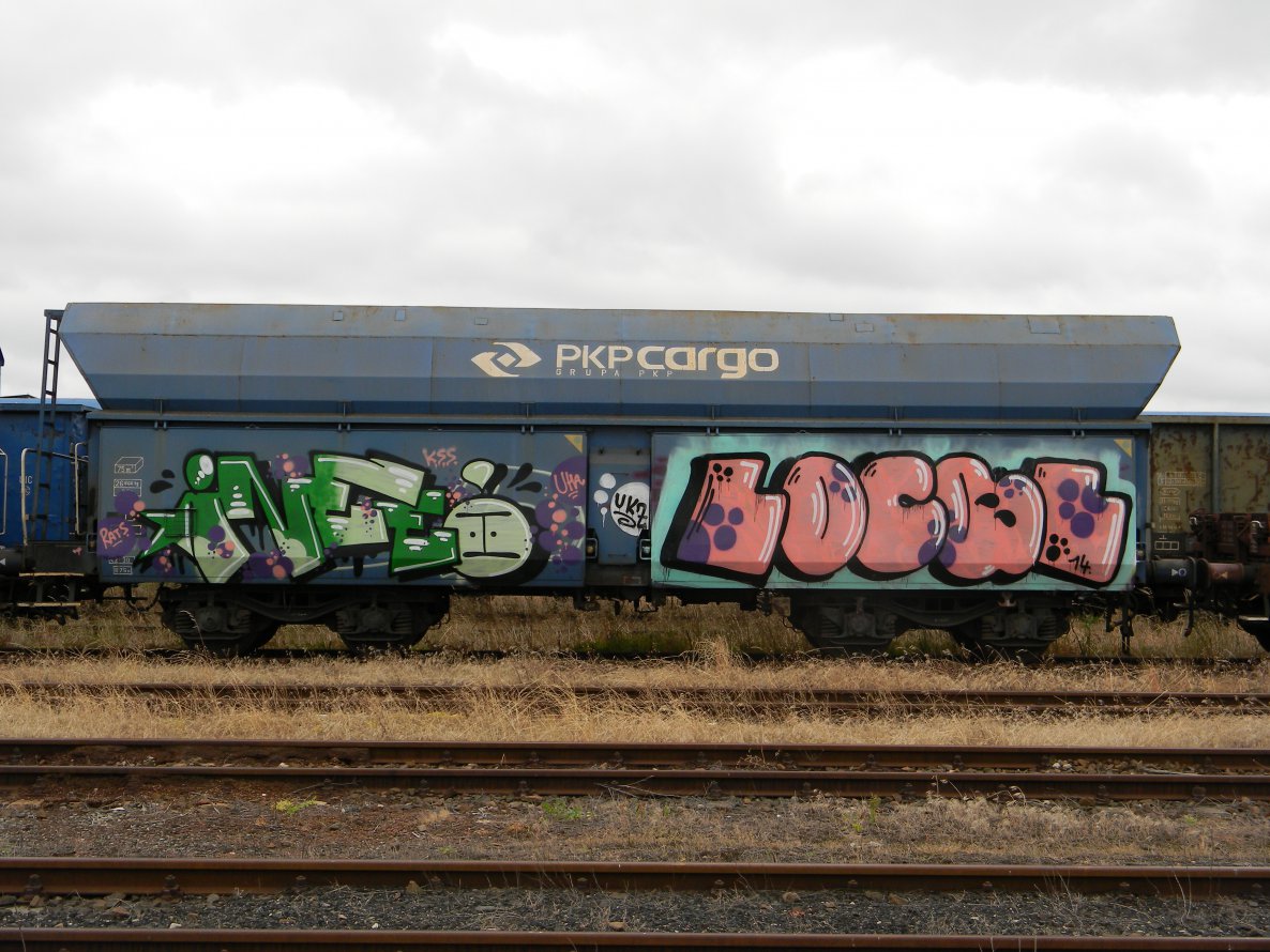 Graffiti Train - Photo by ABCmaniac - ineed, local, fr8