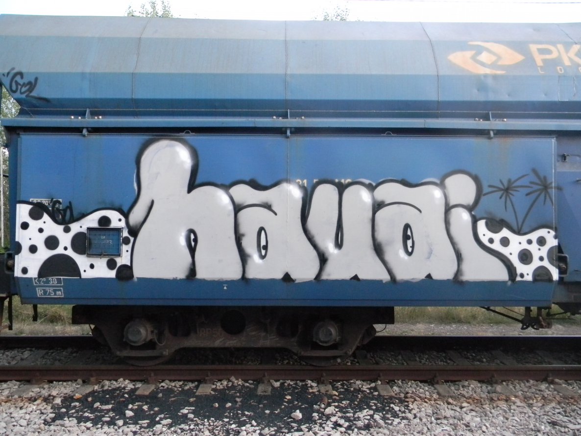 Graffiti Train - Photo by ABCmaniac