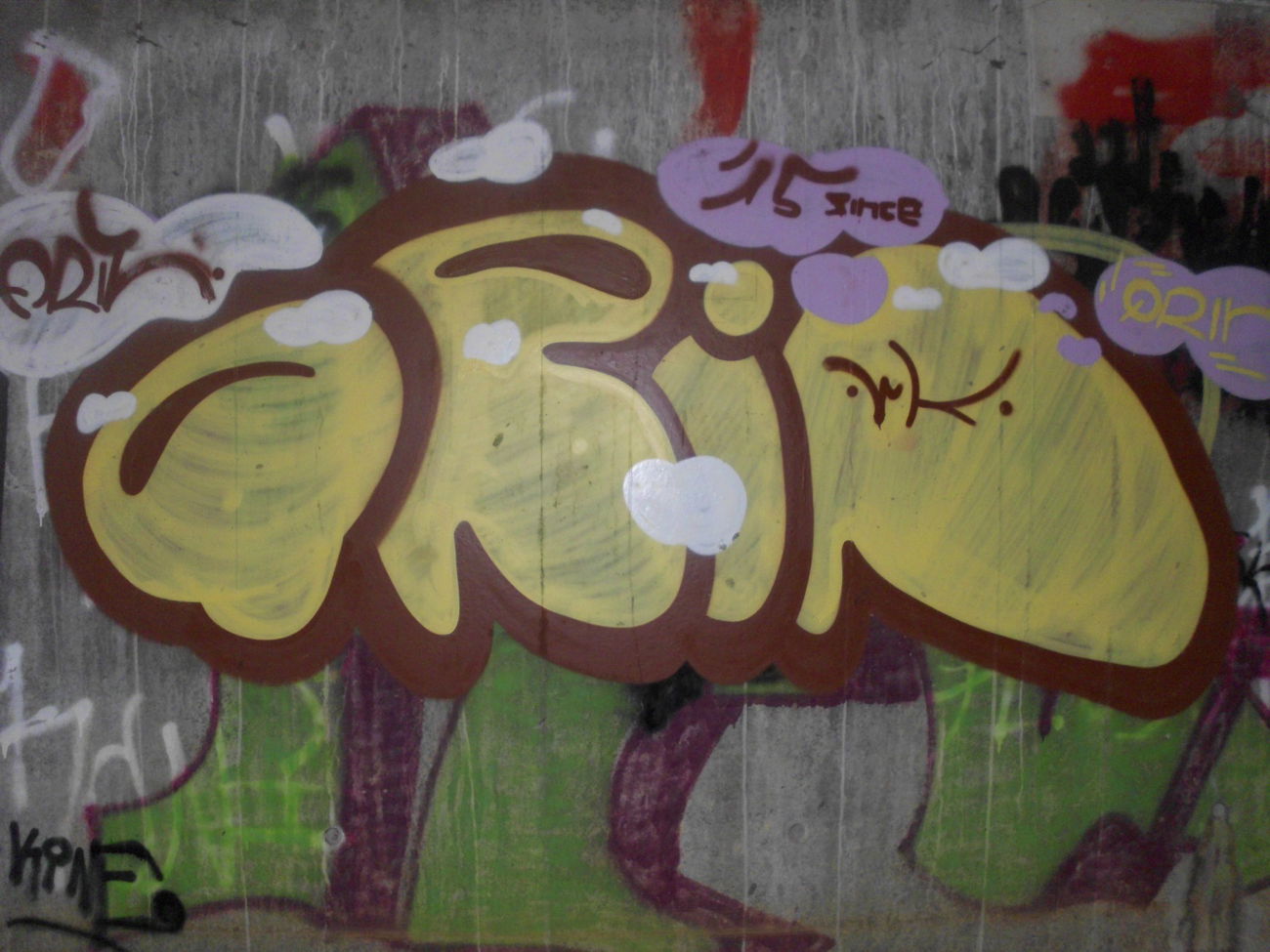Graffiti Bombing - Photo by AER0S0L - QRIN (2015)