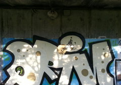 Graffiti Bombing - Photo by AER0S0L - QRIN, ROLLE (2015)