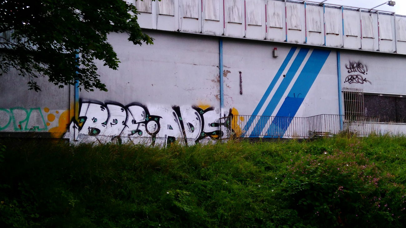 Graffiti Bombing - Photo by AGON - BRS, APS, PULS (2016)