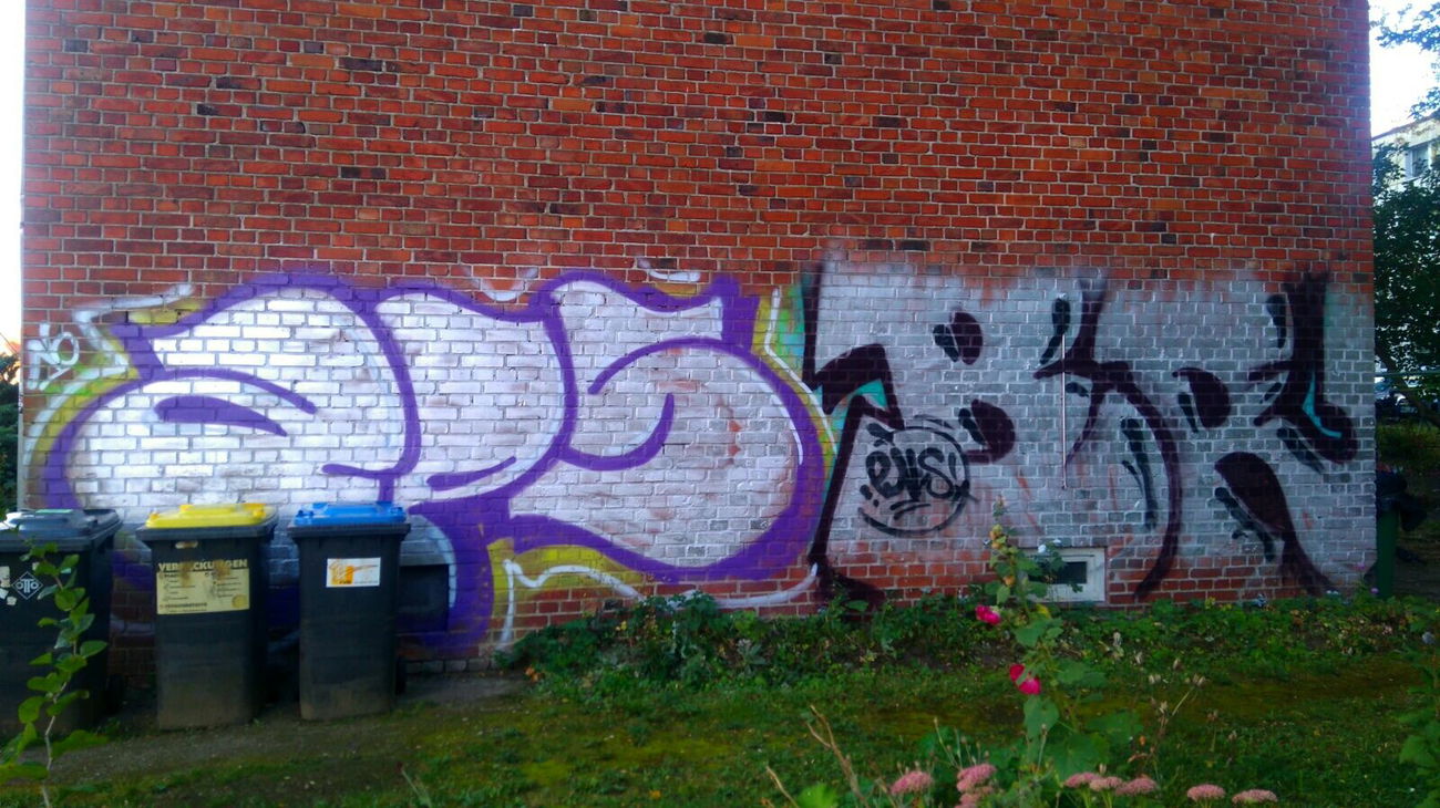 Graffiti Photo by AGON - BRS, APS, PULS (2016)